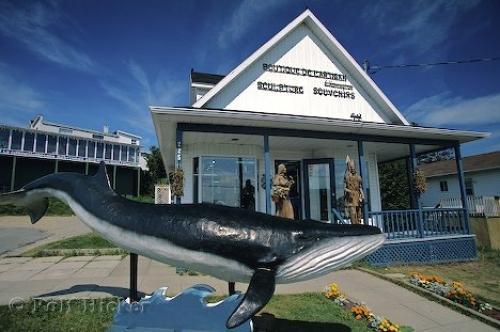 Gite Au Vieux Pommier Tadoussac Exterior foto